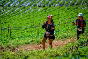 BIB: 
                            <button type="button" onclick="openModal(19164692)" class="btn btn-primary btn-sm float-right btn-popup" data-toggle="modal" data-target=".modal-high-quality">
                        <i class="fas fa-shopping-cart"></i> Add to Cart
                    </button>
                                            <button type="button" onclick="isThisMe(19164692, true)" class="btn btn-success btn-sm float-right btn-popup btn-isme hidden" data-toggle="tooltip" data-placement="bottom" title="นี่คือรูปของคุณใช่ไหม คลิกที่นี่เพื่อเอาเข้าอัลบั้ม">
                        <i class="fas fa-plus"></i> Add to album
                    </button>
                    <button type="button" onclick="isThisMe(19164692, false)" class="btn btn-warning btn-sm float-right btn-popup btn-isnotme hidden">
                        <i class="fas fa-ban"></i> Remove from album
                    </button>